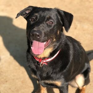 Meet your Posher, Elise